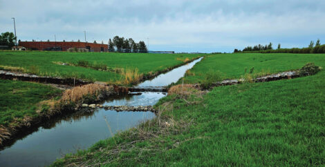 Creek Bank Erosion Control Methods